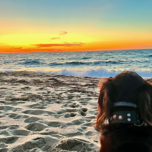 foto-3_plus-vice-informaci-uvodni